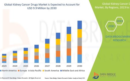 Global Kidney Cancer Drugs Market Demand: Growth, Share, Value, Size, and Insights