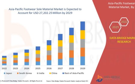 Asia-Pacific Footwear Sole Materials Market Dynamics: Key Drivers and Restraints 2024 –2031