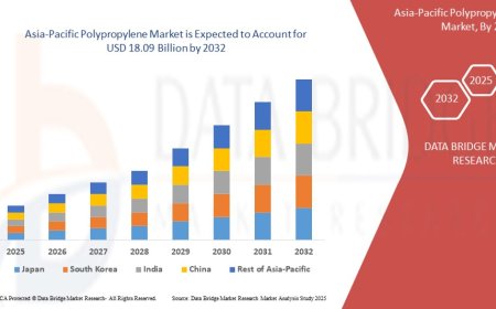 Asia-Pacific Polypropylene Market Dynamics: Key Drivers and Restraints 2025 –2032