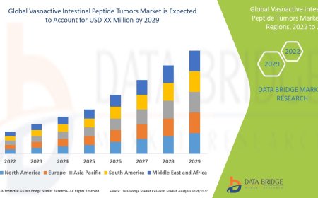 Vasoactive Intestinal Peptide Tumors Market Size, Current Status, and Outlook 2029