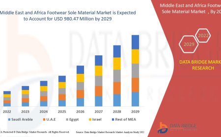 Middle East and Africa Footwear sole materials Market Dynamics: Key Drivers and Restraints 2024 –2031