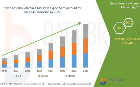 North America Vitamin A Market Dynamics: Key Drivers and Restraints 2024 –2031