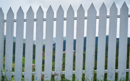 Trusted Fence Staining Companies for Weather-Resistant Finishes