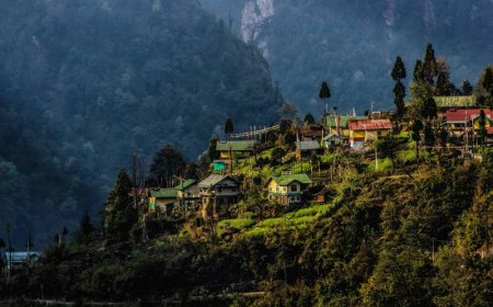 A Perfect Week in the Himalayas: Sikkim and Darjeeling Itinerary