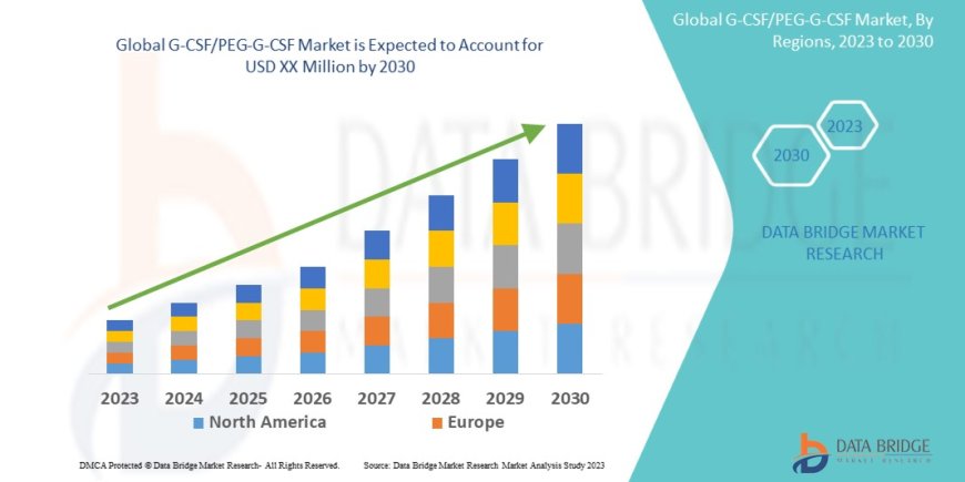 Global G-CSF/PEG-G-CSF Market Growth Drivers: Share, Value, Size, and Insights