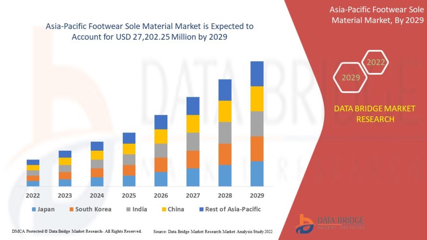 Asia-Pacific Footwear Sole Materials Market Dynamics: Key Drivers and Restraints 2024 –2031