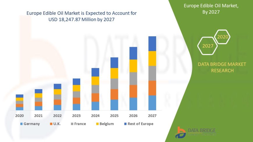 Europe Edible Oil Market Report 2024 –2031: Key Trends and Projections