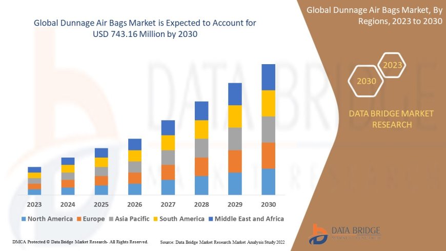 Global Dunnage Air Bags Market Scope: Growth, Share, Value, Size, and Analysis