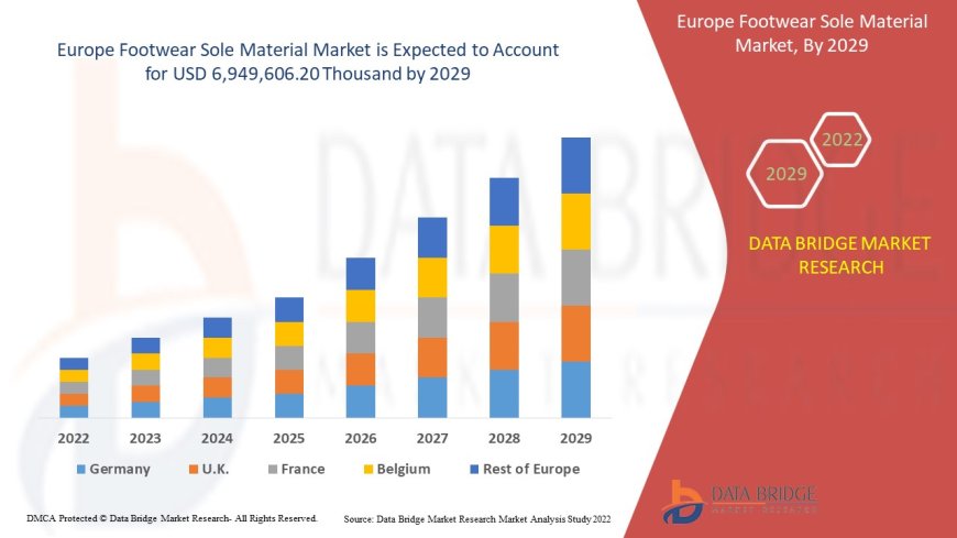 Europe Footwear Sole Materials Market Dynamics: Key Drivers and Restraints 2024 –2031