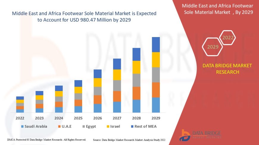 Middle East and Africa Footwear sole materials Market Dynamics: Key Drivers and Restraints 2024 –2031