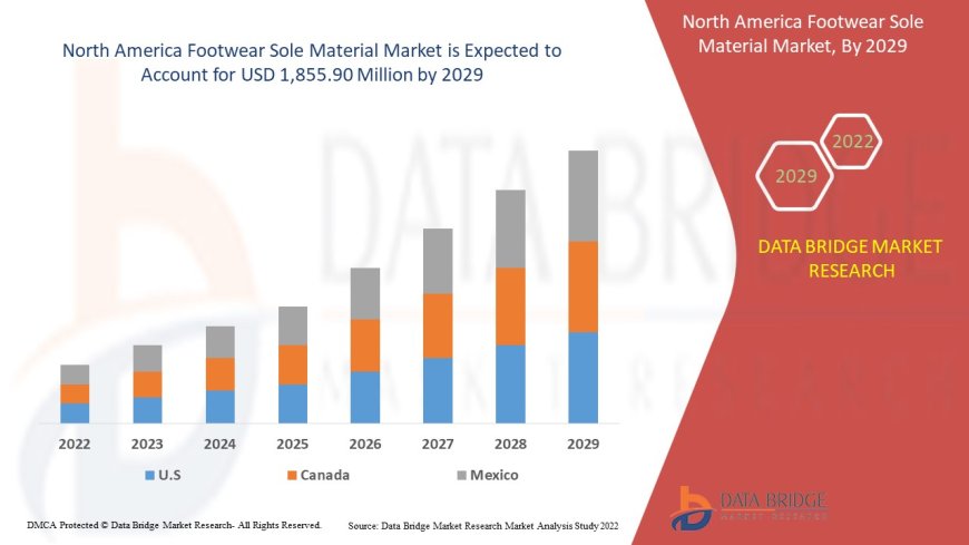 North America Footwear Sole Materials Market Dynamics: Key Drivers and Restraints 2024 –2031
