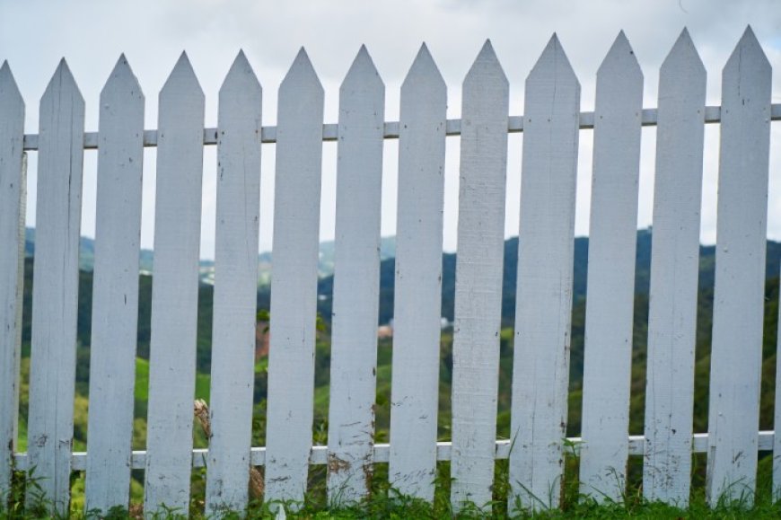 Trusted Fence Staining Companies for Weather-Resistant Finishes