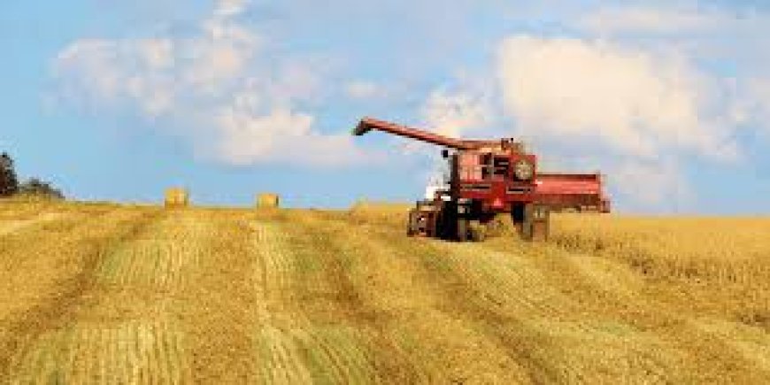 Farm Fuel Suppliers in the UK: Keeping Agriculture in Motion