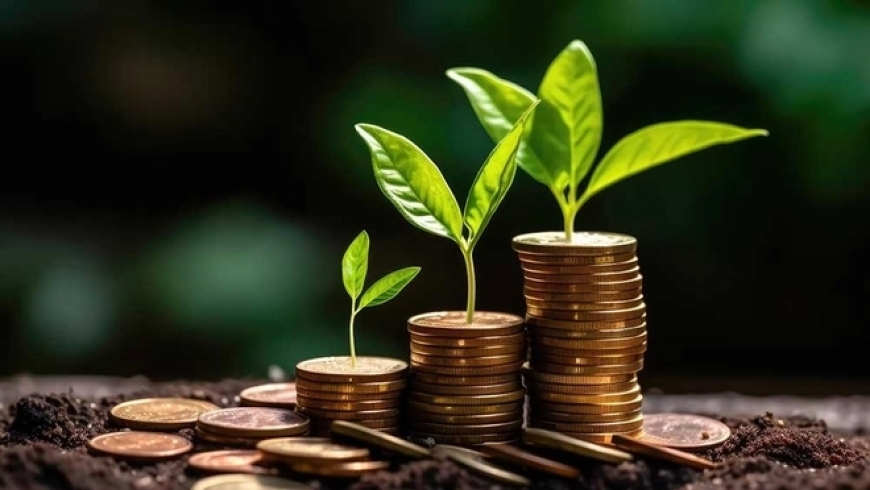 What's the Real Cost of Not Using Mutual Fund Software in India for Your Business?