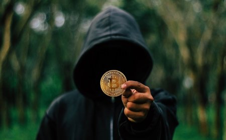 Best Practices to Secure Your Crypto Wallet from Hackers and Scams