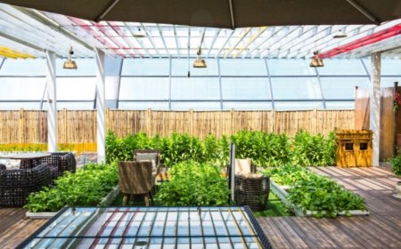 Upgrade Your Outdoor Space with a Lattice Patio Cover