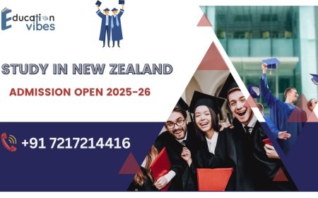 Why should international students choose New Zealand for higher education?