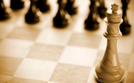 Why the Protagonist's Rise Mirrors a Chess Masterstroke