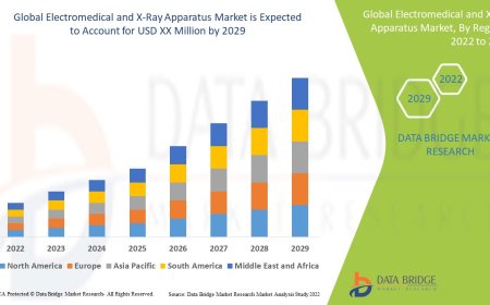 Electromedical and X-Ray Apparatus Market Witnesses Growth Amid Rising Diagnostic Imaging Needs