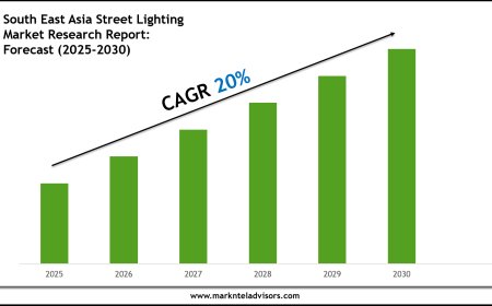 South East Asia Street Lighting Market Forecast: Growth Drivers & Outlook to 2030