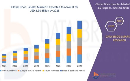 Door Handles Market Sees Growth with Smart Home Integration and Renovation Trends