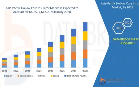Asia-Pacific Hollow Core Insulator Market Grows Amid Expanding Power Infrastructure Development