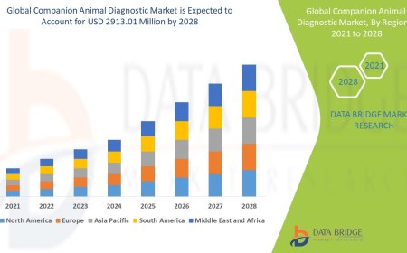 Companion Animal Diagnostic Market Grows with Pet Ownership and Preventive Care Trends