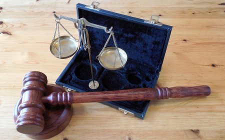 Patent Examiner: Role, Responsibilities, and Insights Into the Patent Review Process