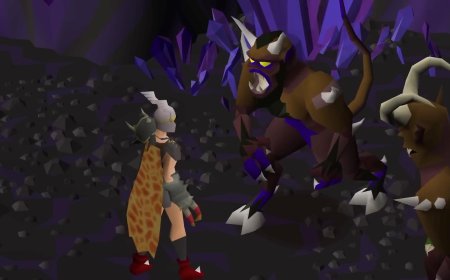 OSRS gold picking a reputable seller like RSorder