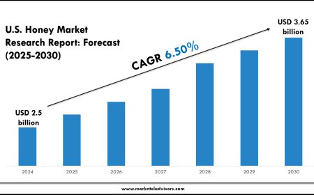 U.S. Honey Market Valuation & Demand Forecast