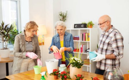 Making the Home Environment Senior-Friendly