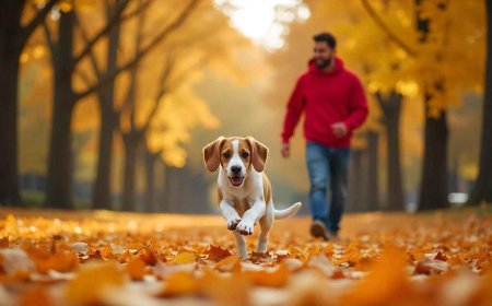 How Does a Smart Pet Mom Balance Work, Family, and Pet Responsibilities Effectively?