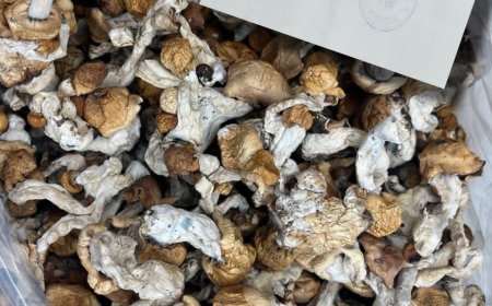 HOW BANKS KNOW FAKE EUROS IN FRANCE