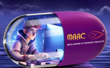 Top Animation Design Software Every Designer Should Learn