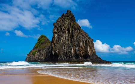 Discover Convenience at the Turkish Airlines New York City Office