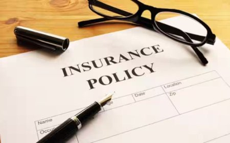 The Legal Side of Insurance Policy Limit Lookup