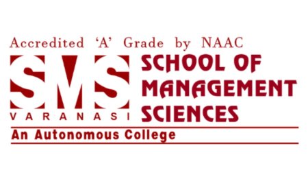 Executive MBA vs Regular MBA: Best for Career Switchers?