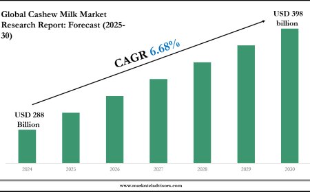Forecasting the Cashew Milk Market: Key Metrics & Industry Overview