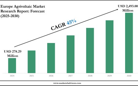 2025–2030 Europe Agrivoltaic Market Landscape: Growth, Share & Opportunities