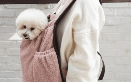The Stylish and Functional World of the Dog Carrier Purse