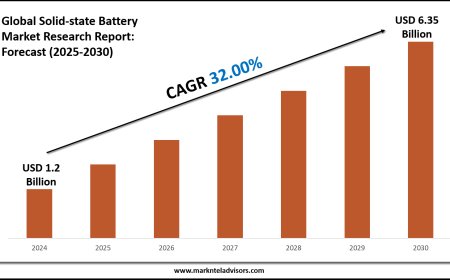 Solid-state Battery Industry Trends & Forecast: Market Outlook to 2030