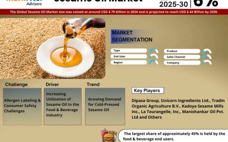 Sesame Oil Market Overview:  Growth & Strategy