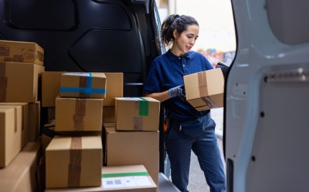 Affordable Domestic Courier Services: What You Need to Know