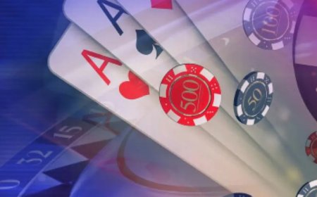 Playexch – India’s Premier Platform for Live Sports and Casino Gaming