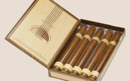 Elevate Your Brand with Premium Custom Cigar Boxes