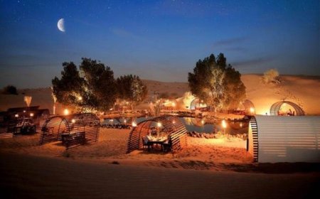 Dubai Desert Safari Price – Complete Guide to Costs, Packages  & Value