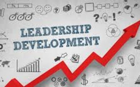Leadership Development: Building Strong Leaders for a Complex World