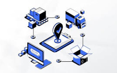 TMS in Supply Chain: Enhancing Logistics Through Technology