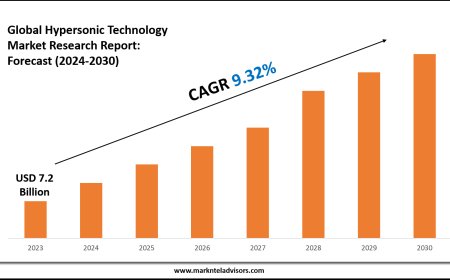 2024–2030 Hypersonic Technology Market Snapshot: Growth, Value & Forecast