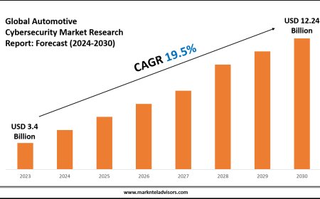 Automotive Cybersecurity Market Research 2024–2030: Demand Drivers & Projections